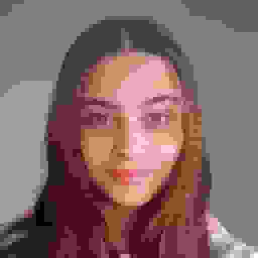Input image 2